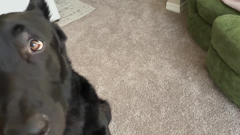 Time for His Breakfast Burp