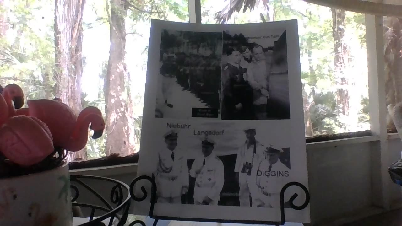 Hitler and the Secret Alliance