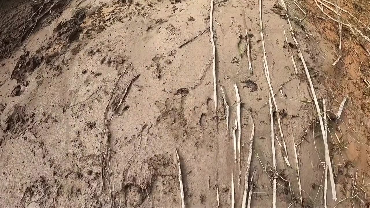 ARMEI 4 VARAS DE BAMBU COM ISCA VIVA NO RIO DOS MONSTROS... AGORA A PESCARIA CAIPIRA FICOU SÉRIA!!!
