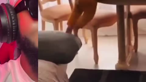Motivation video
