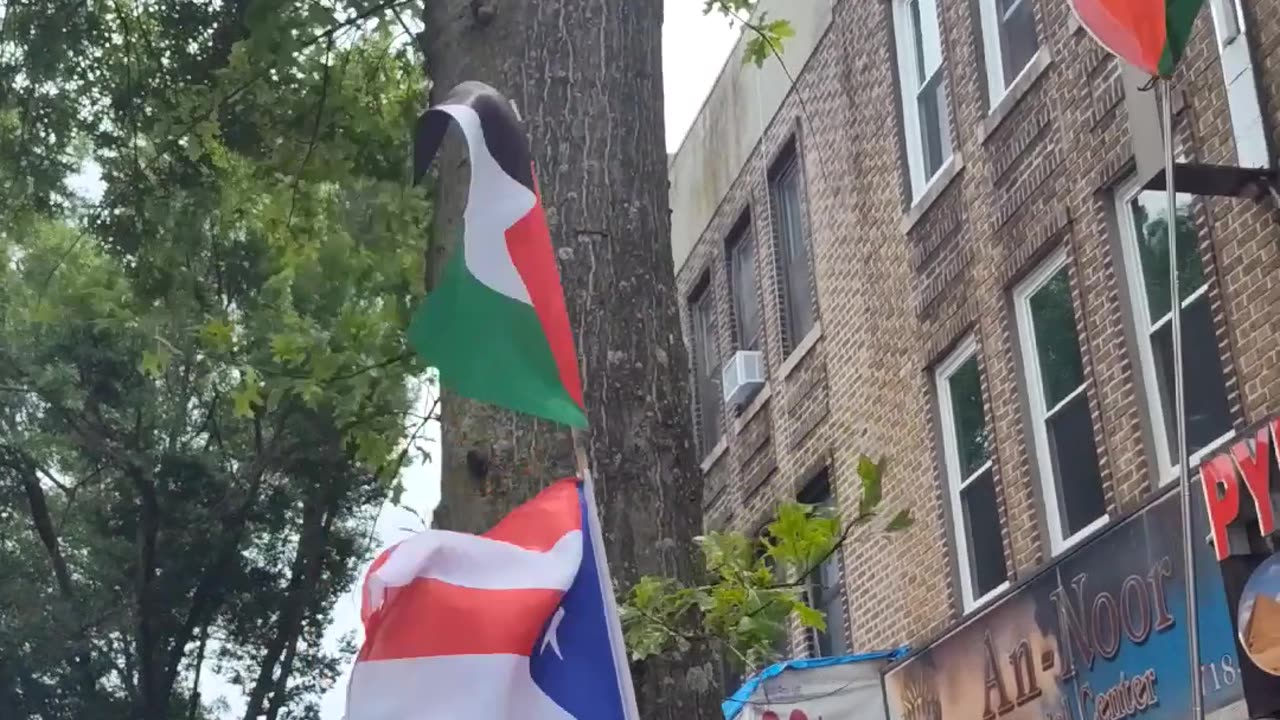 Puertorriqueños 🇵🇷 en Nueva York apoyando a Palestina 🇵🇸.
