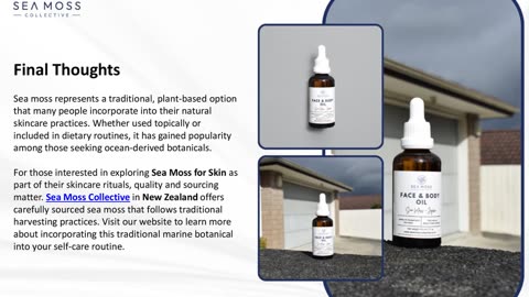 How Sea Moss May Support Your Natural Skincare Routine