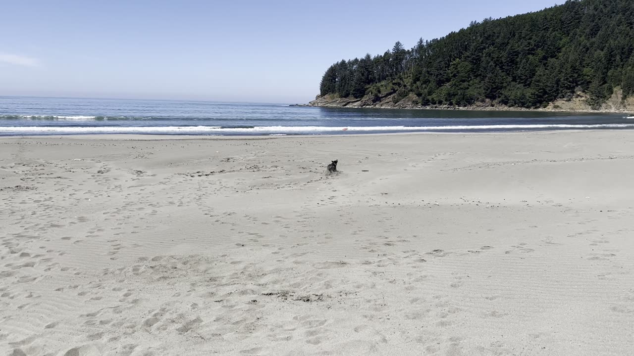 frisbee catches at the beach 2908402942098