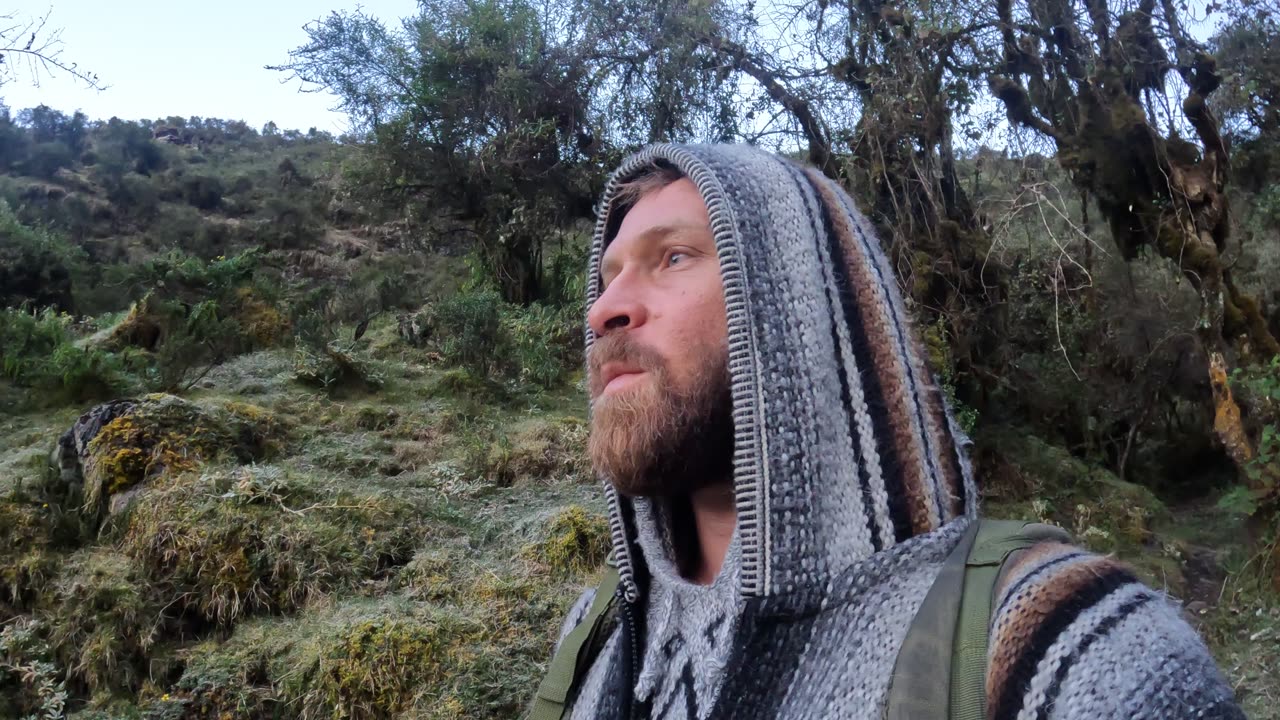 Que valen las palabras?