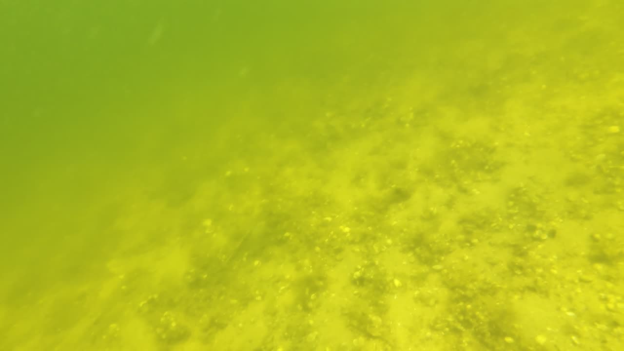 Kayak on The South Side, PT - Margem Sul, S02E08 LAGOA de ALBUFEIRA 29th of July 2K25 Part 5.2