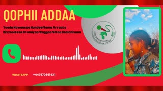 Qophii Addaa ONM-ABO Waxaabajjii 12-2025 itti dhiyaadhaa!