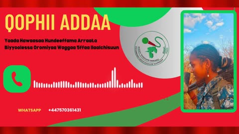 Qophii Addaa ONM-ABO Waxaabajjii 12-2025 itti dhiyaadhaa!