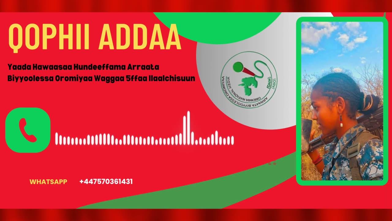 Qophii Addaa ONM-ABO Waxaabajjii 12-2025 itti dhiyaadhaa!