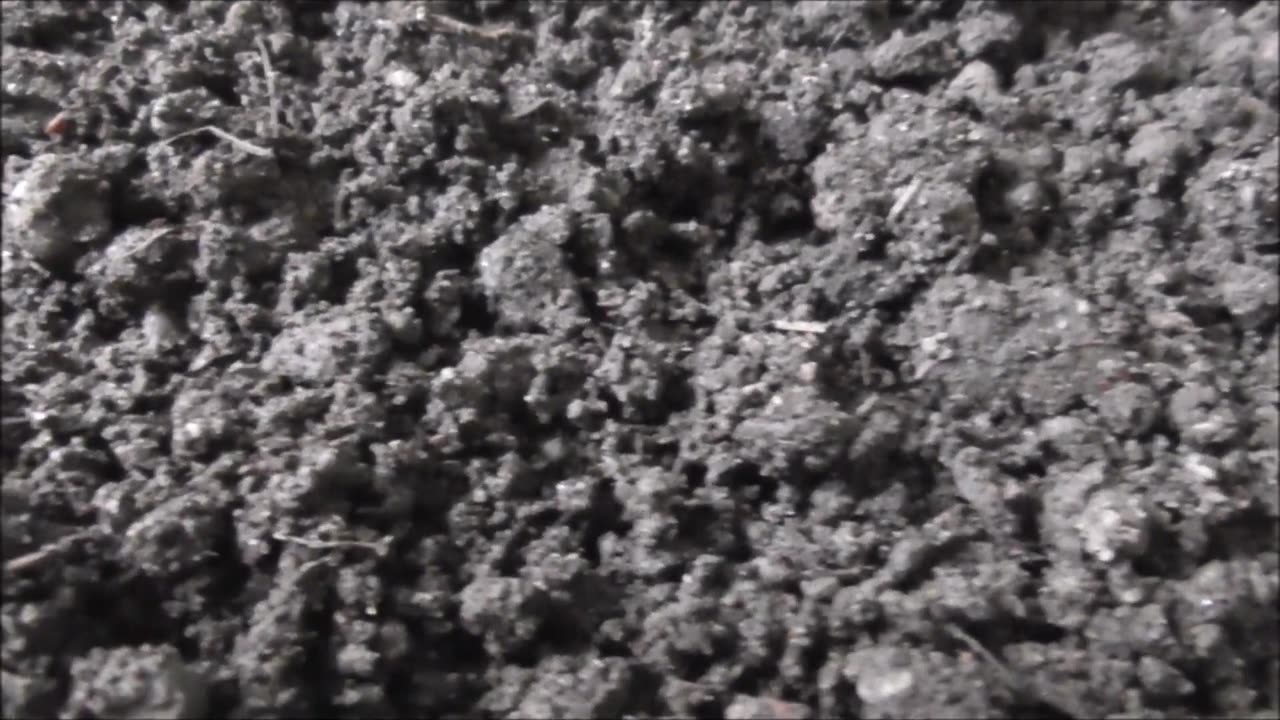 Einon raunioiden peltokivianalyysi 2025