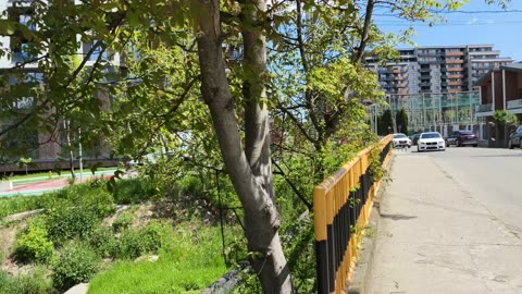 Asa se prezinta strada Soporului, Cluj-Napoca