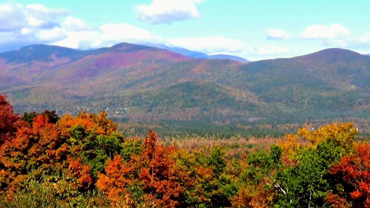 Fall Foliage