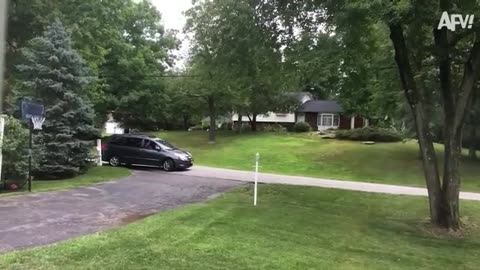 Funny video