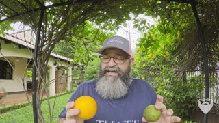 Nicaragua Doesn't Have Oranges 🇳🇮 No, Really!