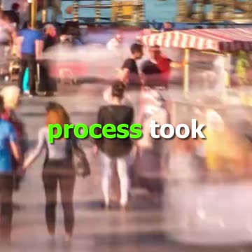 Cash Delivered Just in Time! My Honest Take on BookMyForex Before Trip