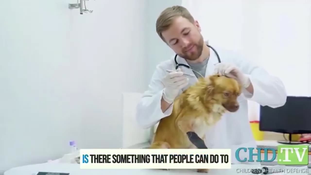Vaccine Damaged Pets