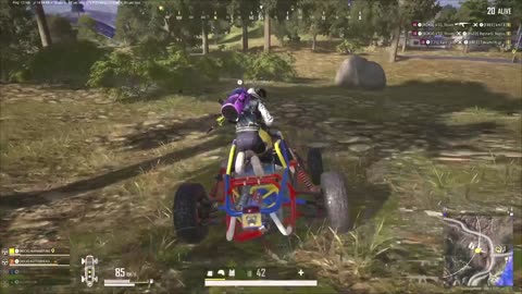 Stop Buggy & Kill