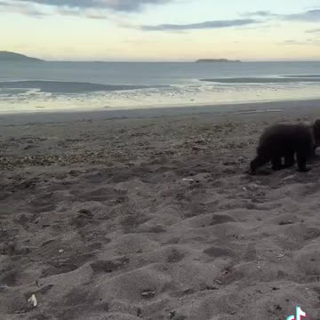 There are moments in life where it's imperative to keep your cool. This is one of them.