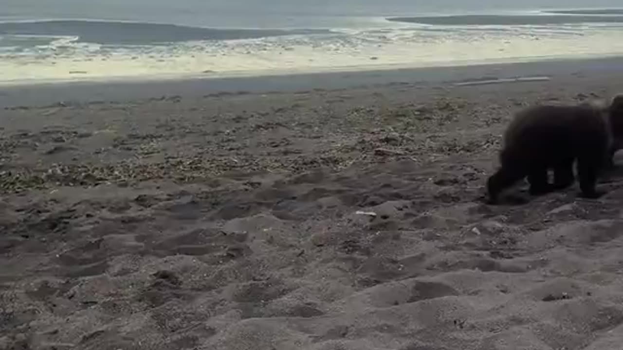 There are moments in life where it's imperative to keep your cool. This is one of them.