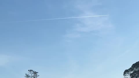 Ghouls moving in on Sunset spraying !