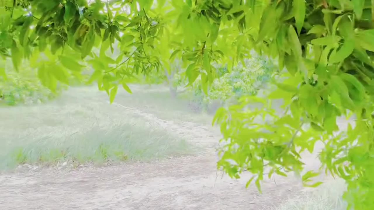 The Green Side of Sindh- Village Views ❤ #maxrecords #nature #village ✅