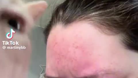 😂🐱 This Cat's Reaction is INSANE! | FunFM