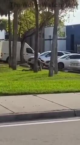 Man kills Florida deputy with his own weapon during traffic stop