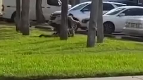 Man kills Florida deputy with his own weapon during traffic stop