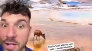 They LIED to us about this too... (A must see)