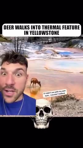 They LIED to us about this too... (A must see)