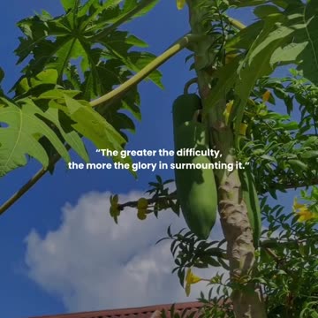 The greater the difficulty, the more the glory in surmounting it.