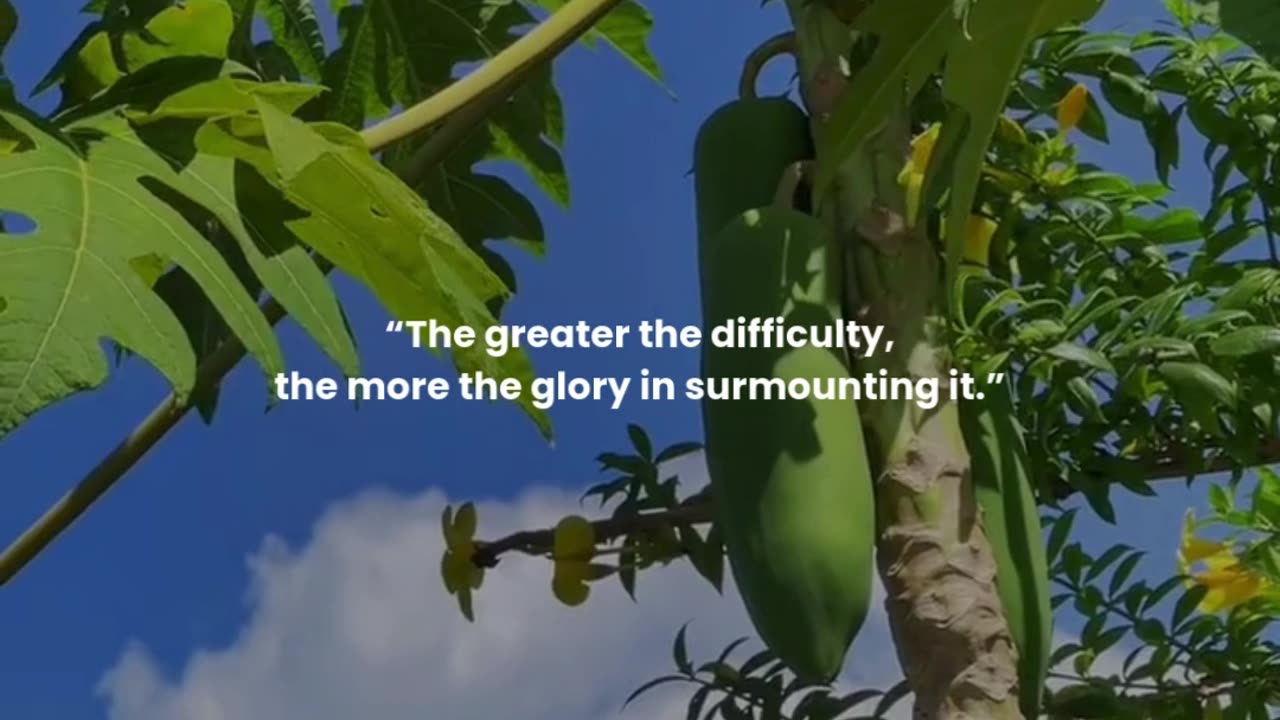 The greater the difficulty, the more the glory in surmounting it.