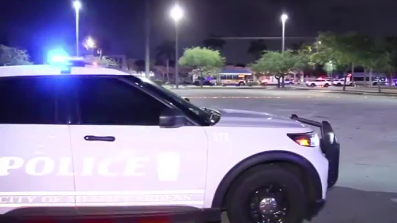 Niggly bus driver kills 2 niggers