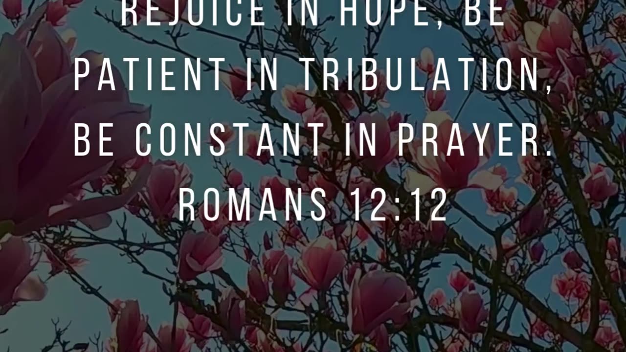 Stay hopeful and steadfast in prayer during difficult times.