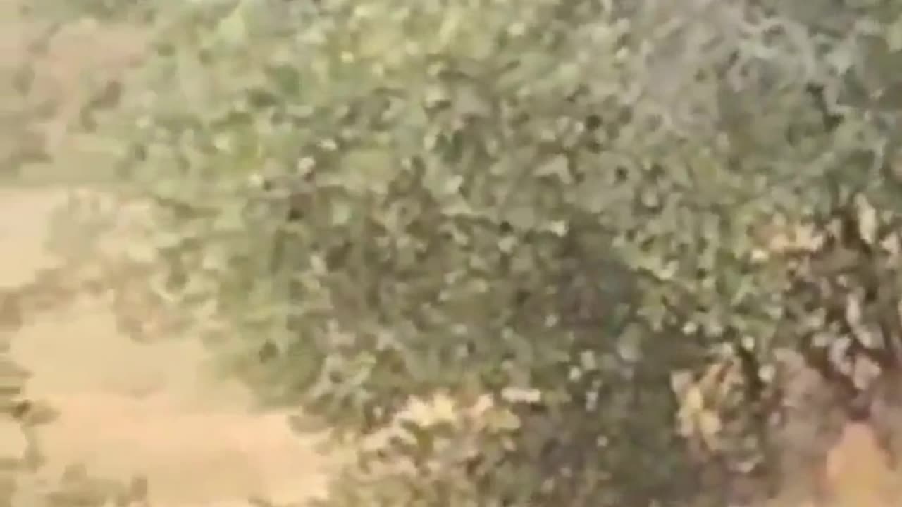 💥🛬️ Sudan War | RSF Shoots Down Sudan Air Force IL-76 | RCF