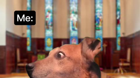 Do people at church gossip?