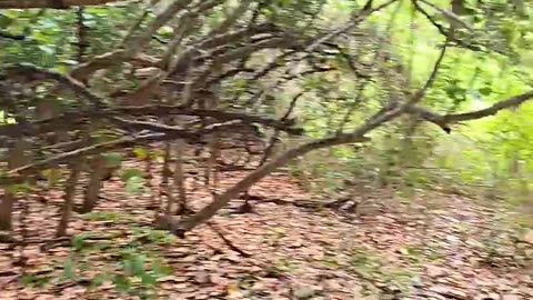 we're gonna become beach bumbs #ourtruckinglife #truckesvlogs #truckdriver #reallifetruckers