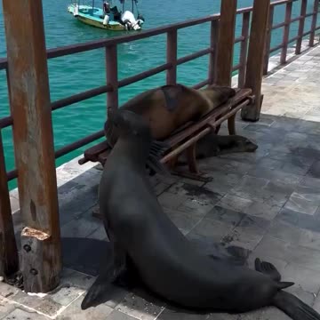 All seats are taken.. 😂