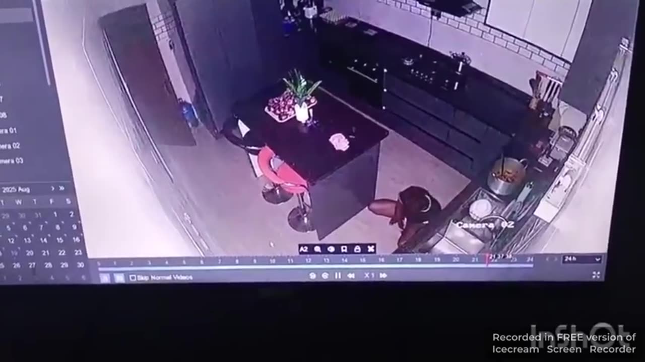 only niggers piss on plates in the kitchen