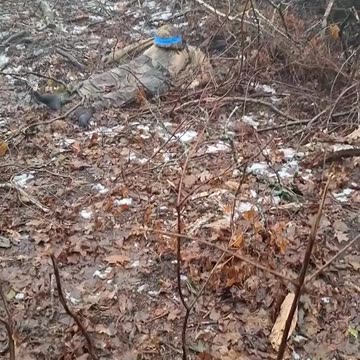 Ukraine war combat footage /related 11/13/2025