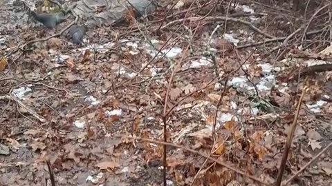 Ukraine war combat footage /related 11/13/2025