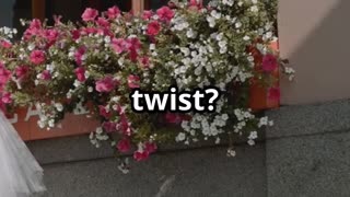 Kim Cattrall's Intimate London Wedding: All the Details