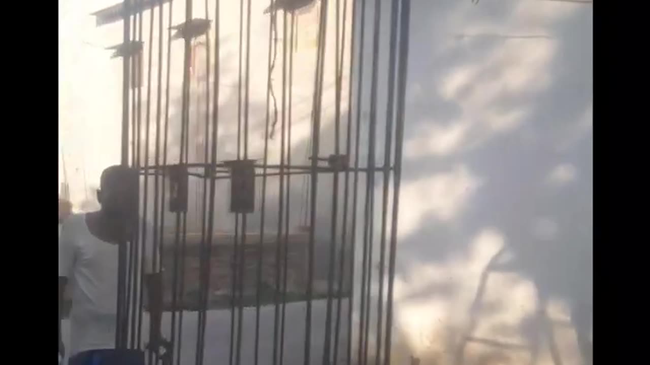 3D pixel tree#lightdecoration #wedding #sukai_light_house