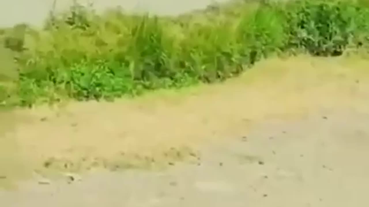 🇵🇰🇮🇳 Hostilities have restarted at the line of contact. Pakistan is also moving heavy military