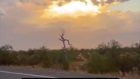 More people than ever are getting confused by Sunsets……