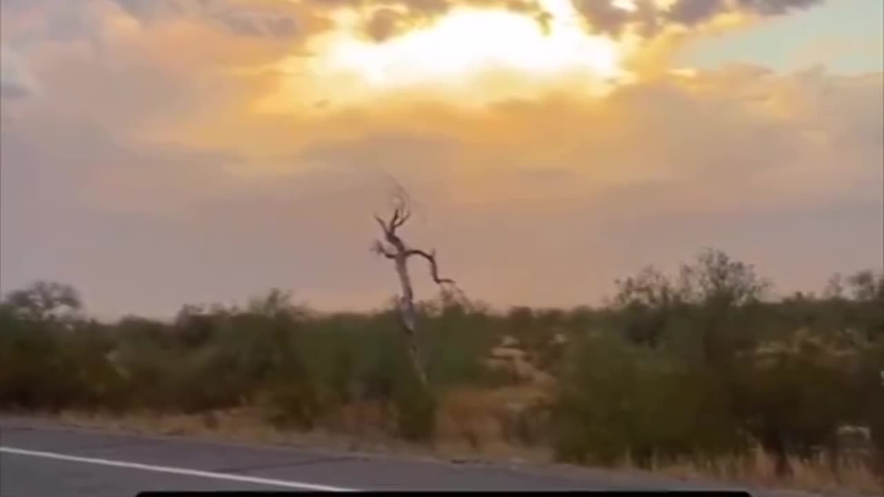 More people than ever are getting confused by Sunsets……