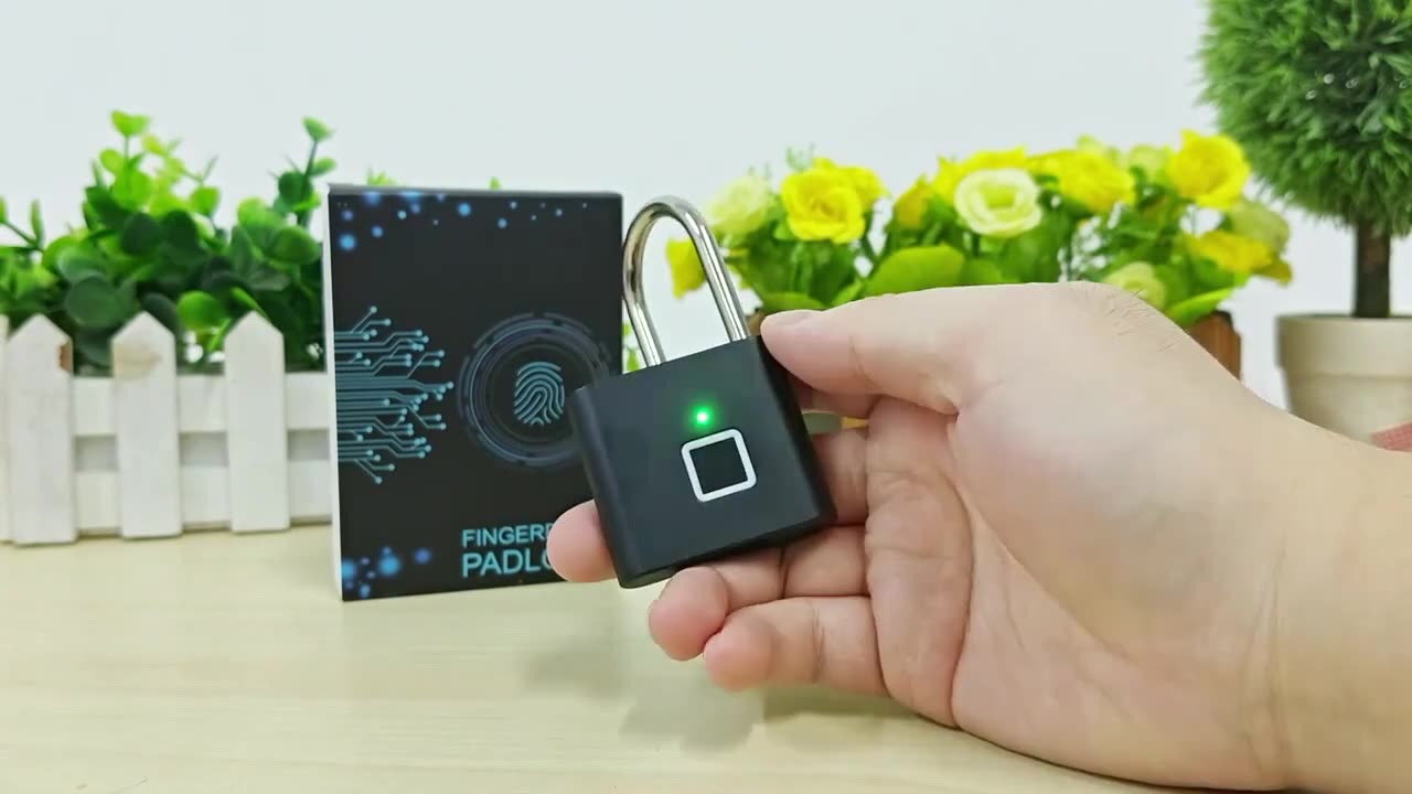 Fingerprint padlock