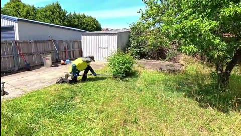 This is the CRAZIEST yard transformation