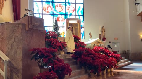 Father Martin Dunne homily 12/28/25 Mt 2:13-15, 19-23