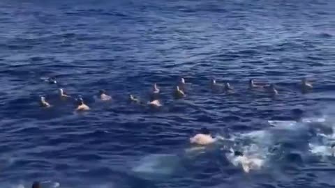 After months underwater, a US nuclear submarine surfaces