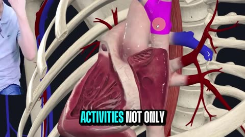 Mental Health and Wellness for Seniors: How to Stay Happy and Healthy in Later Years